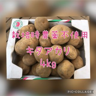 【栽培時農薬不使用】じゃがいも　キタアカリ(野菜)