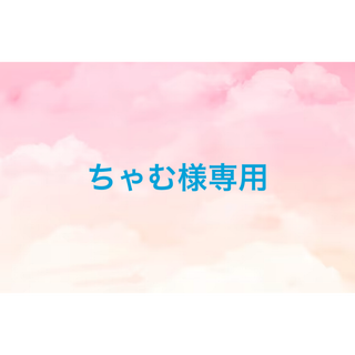 ちゃむ様専用(ロングワンピース/マキシワンピース)