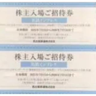 2まい　南知多ビーチランド 入場券(遊園地/テーマパーク)
