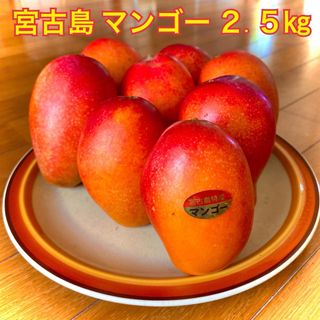 2.5 宮古島産 マンゴー 2.5㎏(フルーツ)