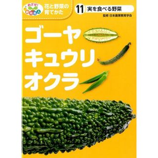 めざせ！栽培名人花と野菜の育てかた １１/ポプラ社/こどもくらぶ編集部（大型本）