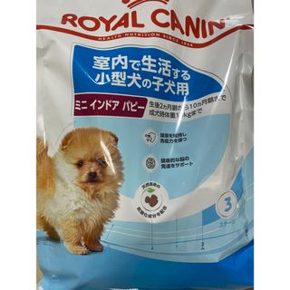ロイヤルカナン(ROYAL CANIN)のロイヤルカナン　小型犬子犬用　(ペットフード)