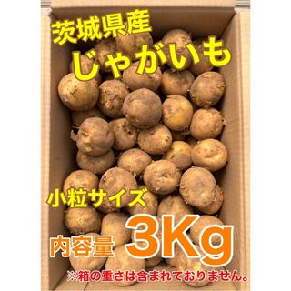 茨城県産　じゃがいも　3Kg　小粒サイズ(野菜)