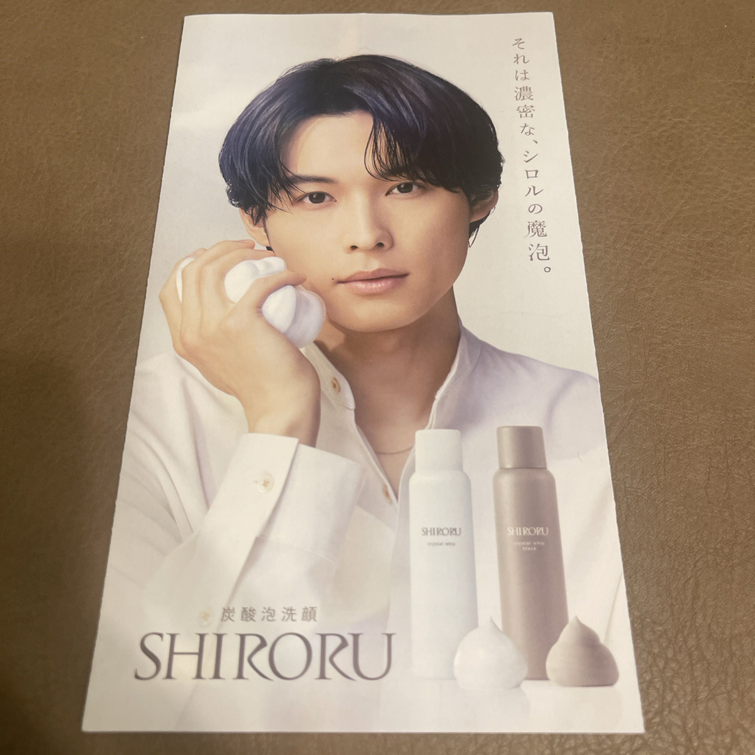 SixTONES(ストーンズ)の松村北斗 SHIRORU パンフレット  エンタメ/ホビーのタレントグッズ(アイドルグッズ)の商品写真
