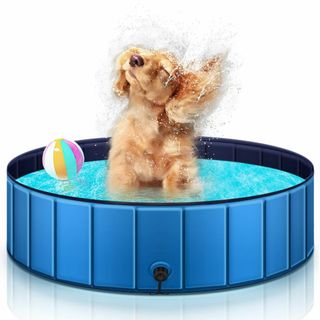 プール 子供用プール ペット用/犬用プール空気入れ不要 折りたたみ式 収納便利 (その他)