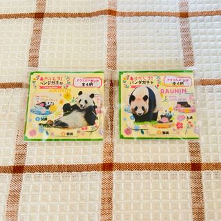 アドベンチャーワールド パンダ アクリルスタンド 良浜 彩浜(キャラクターグッズ)