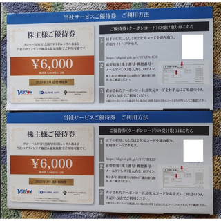 ビジョン 株主優待券 12000円分  2026年3月31日まで(その他)