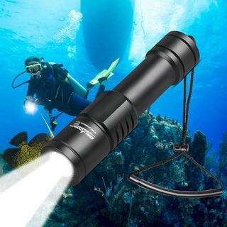 【在庫処分】ORCATORCH D520 ダイビングライト水中ライト プロ仕様超