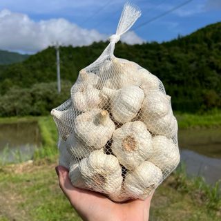 和歌山県産新にんにく（SS~Sサイズ）　2kg(野菜)