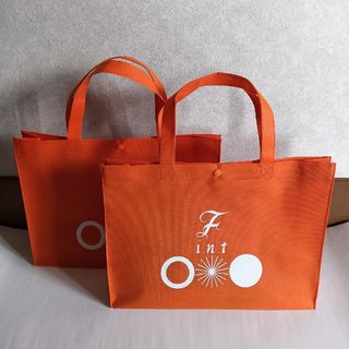 フィント(F i.n.t)の未使用 Fint フィント ショップ袋 ショッパー トートバッグ 2点セット(ショップ袋)