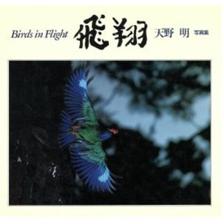 天野明写真集　飛翔／天野明(著者)(その他)