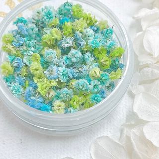かすみ草　ドライフラワー　ライムMIX 小粒100粒