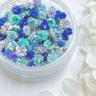 かすみ草　ドライフラワー　ブルーMIX