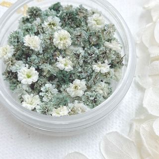 かすみ草　ドライフラワー　グレージュ
