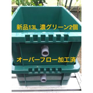 新品13L、濃グリーン2個、オーバーフロー加工済、めだか飼育ケース(アクアリウム)