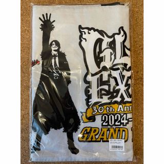 GLAY EXPO 2024-2025 GRAND FINALE タオル(ミュージシャン)