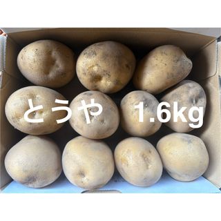 じゃがいも　とうや　1.6kg以上(野菜)