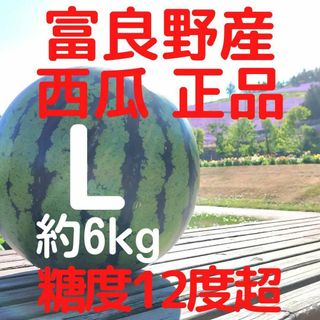 北海道 富良野産 西瓜 スイカ L 約6kg 正品(フルーツ)