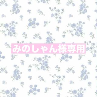 みのしゃん様専用✩.*˚(母子手帳ケース)