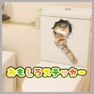 905　茶虎猫B　カーステッカー　おもしろステッカー　リアルキャット　可愛い(その他)