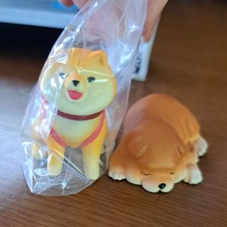 柴犬系　ガチャガチャ　２つ　まとめ買い(キャラクターグッズ)