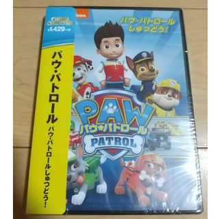 パウ・パトロール　パウ・パトロールしゅつどう！ DVD(アニメ)