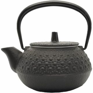 岩鋳 Iwachu 鉄瓶兼用急須 3型新亀甲 黒 0.32L ホーロー無し 直火(容器)