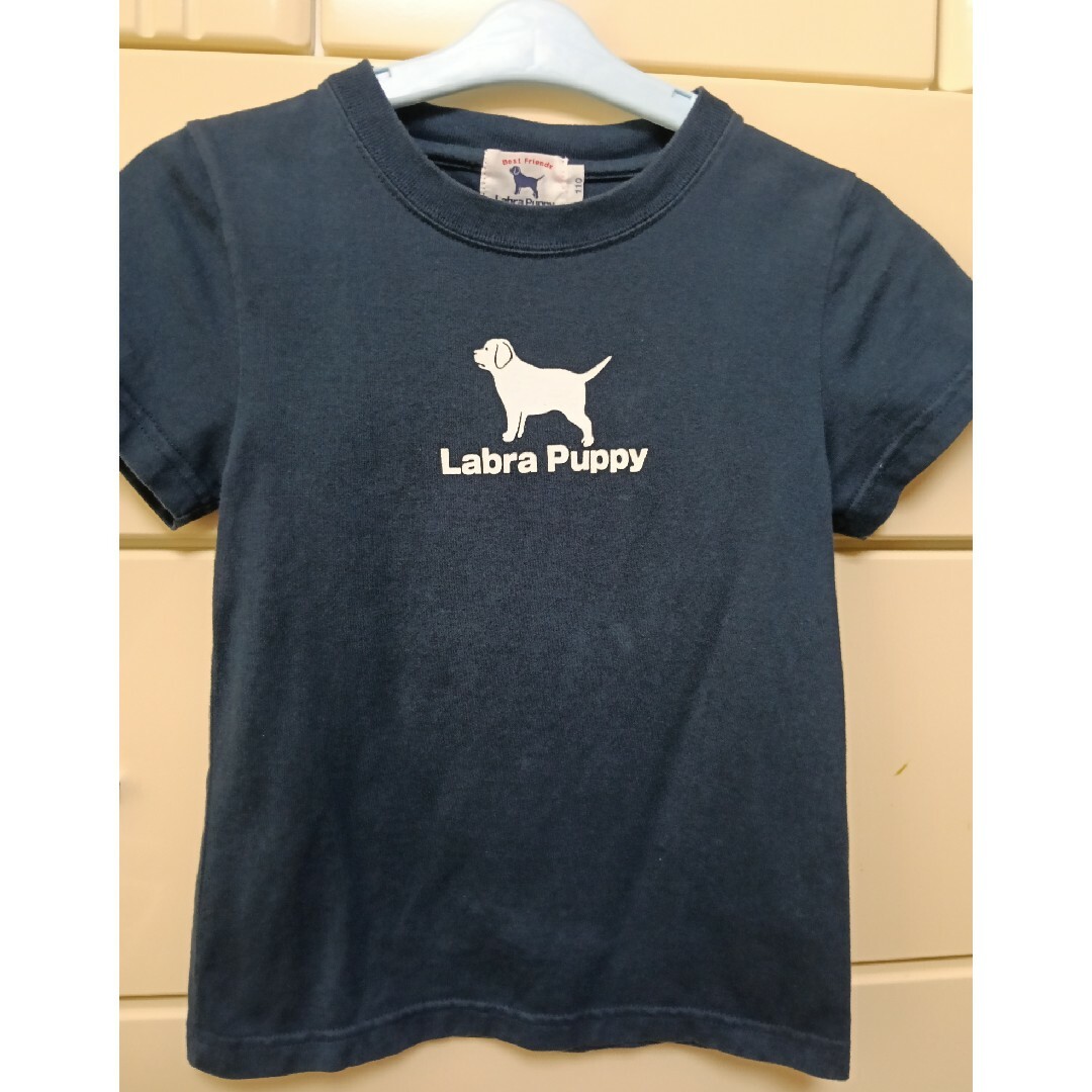 Labrador Retriever(ラブラドールリトリーバー)のラブラドールレトリバー Labra Puppy Tシャツ 110 紺 ネイビー キッズ/ベビー/マタニティのキッズ服男の子用(90cm~)(Tシャツ/カットソー)の商品写真
