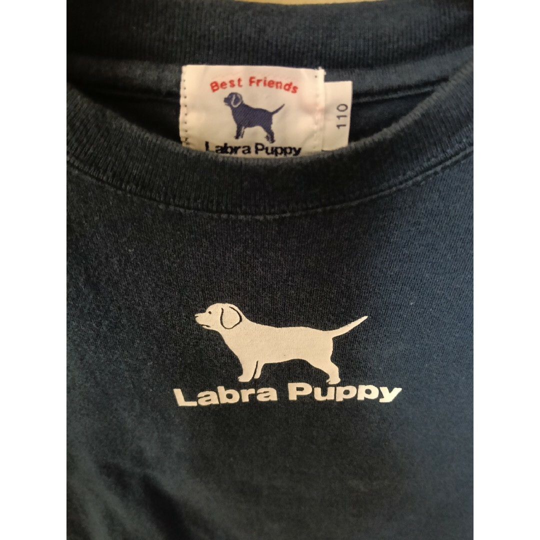 Labrador Retriever(ラブラドールリトリーバー)のラブラドールレトリバー Labra Puppy Tシャツ 110 紺 ネイビー キッズ/ベビー/マタニティのキッズ服男の子用(90cm~)(Tシャツ/カットソー)の商品写真