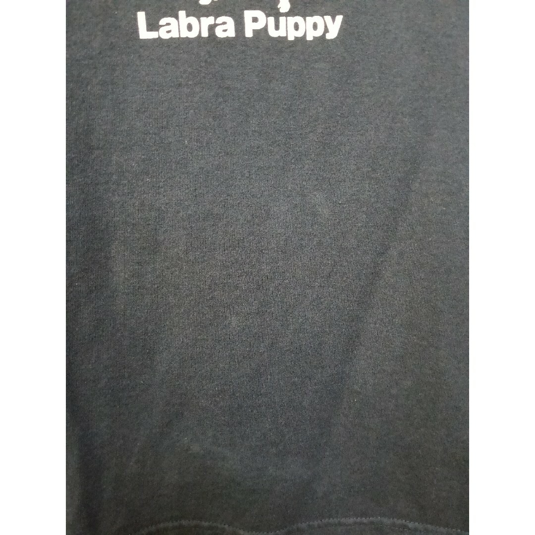 Labrador Retriever(ラブラドールリトリーバー)のラブラドールレトリバー Labra Puppy Tシャツ 110 紺 ネイビー キッズ/ベビー/マタニティのキッズ服男の子用(90cm~)(Tシャツ/カットソー)の商品写真