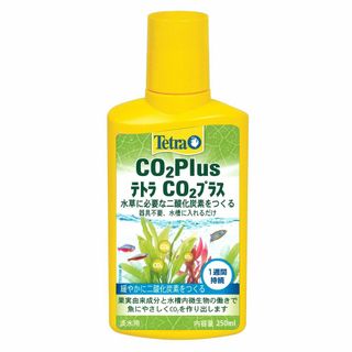 テトラ (Tetra) テトラ CO2 プラス 二酸化炭素で水草育成 光合成を促(その他)