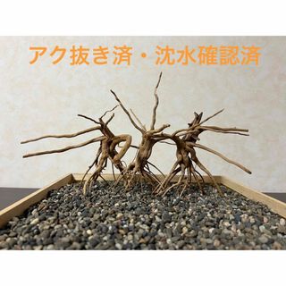 RR-325 流木　ブランチウッド　アクアリウム　沈水確認済(アクアリウム)