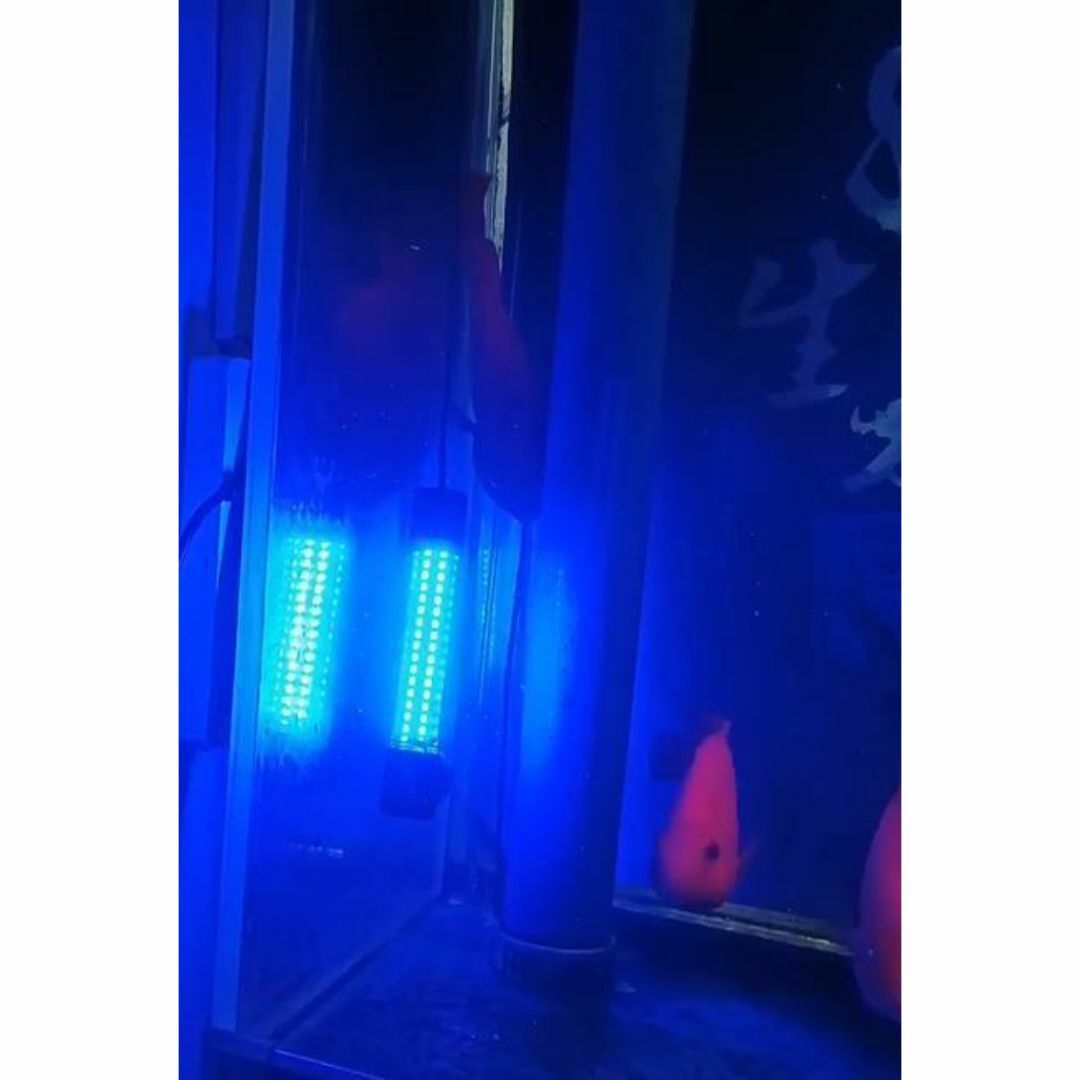 LED 集魚灯 水中ライト　 DC 12v 24v 13w　+　エギ 3.5号  スポーツ/アウトドアのフィッシング(その他)の商品写真