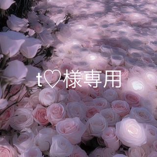t様専用 ILLIT用(その他)