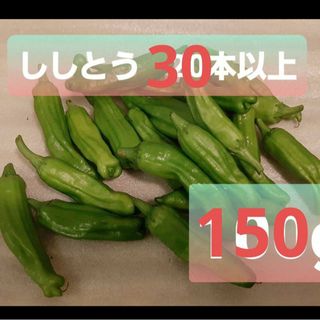 人気!熊本県産　ししとう　150gに増量しました 農薬不使用(野菜)