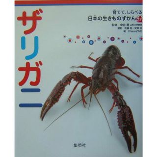 ザリガニ/集英社/中谷勇（単行本）