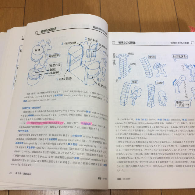 by　イラスト解剖学　nao's　中古本の通販　shop｜ラクマ
