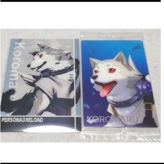 ペルソナ3 　コロマル　カード(キャラクターグッズ)