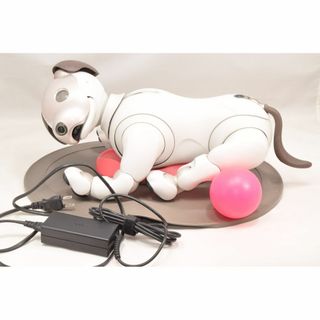 ソニー(SONY)のソニー SONY アイボ ERS-1000 AIBO 犬型(その他)