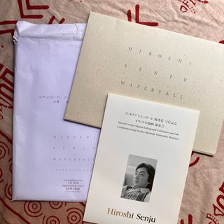 広島そごう新館開店2周年記念 千住博展 図録 2冊セット 平成8年(アート/エンタメ)