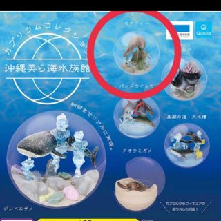 ガシャポン　ガチャガチャ　沖縄美ら海水族館　カプリウムコレクション　マナティー(その他)