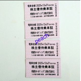 相鉄ホールディングス　株主優待乗車証(鉄道乗車券)