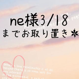 ne様3/18までお取り置き＊(その他)