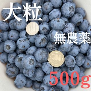 【農家直送】千葉県産生ブルーベリー500g＋おまけ(フルーツ)