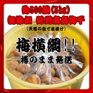 人気爆発！紀州南高梅 樽 5kg 梅 無添加 和歌山 紀州 白梅(フルーツ)