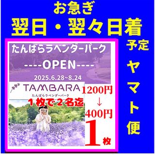 お急ぎ　たんばらラベンダーパーク　入園割引券a111(遊園地/テーマパーク)