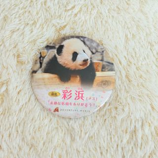 ✿非売品✿ 彩浜 缶バッジ(その他)