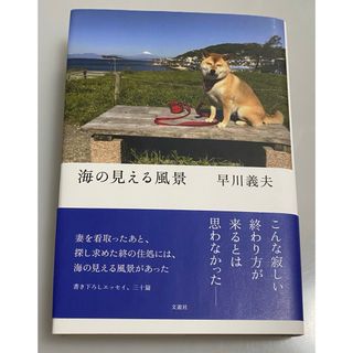 【匿名配送】海の見える風景
