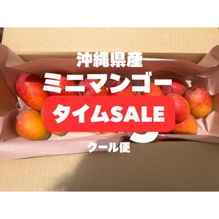 ※最盛期の為、タイムSALE！沖縄県産【完熟ミニマンゴー】クール便 3Kg(フルーツ)
