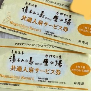 湯あみの島入場券4枚(遊園地/テーマパーク)